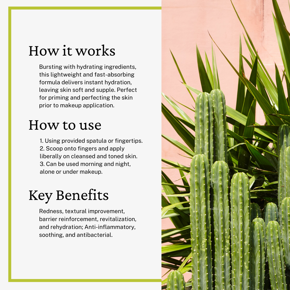 Cactus Water Moisturizer – KBL Cosmetics