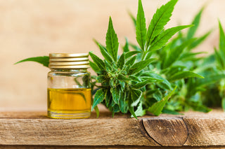 CBD- The Vital New Skincare Ingredient