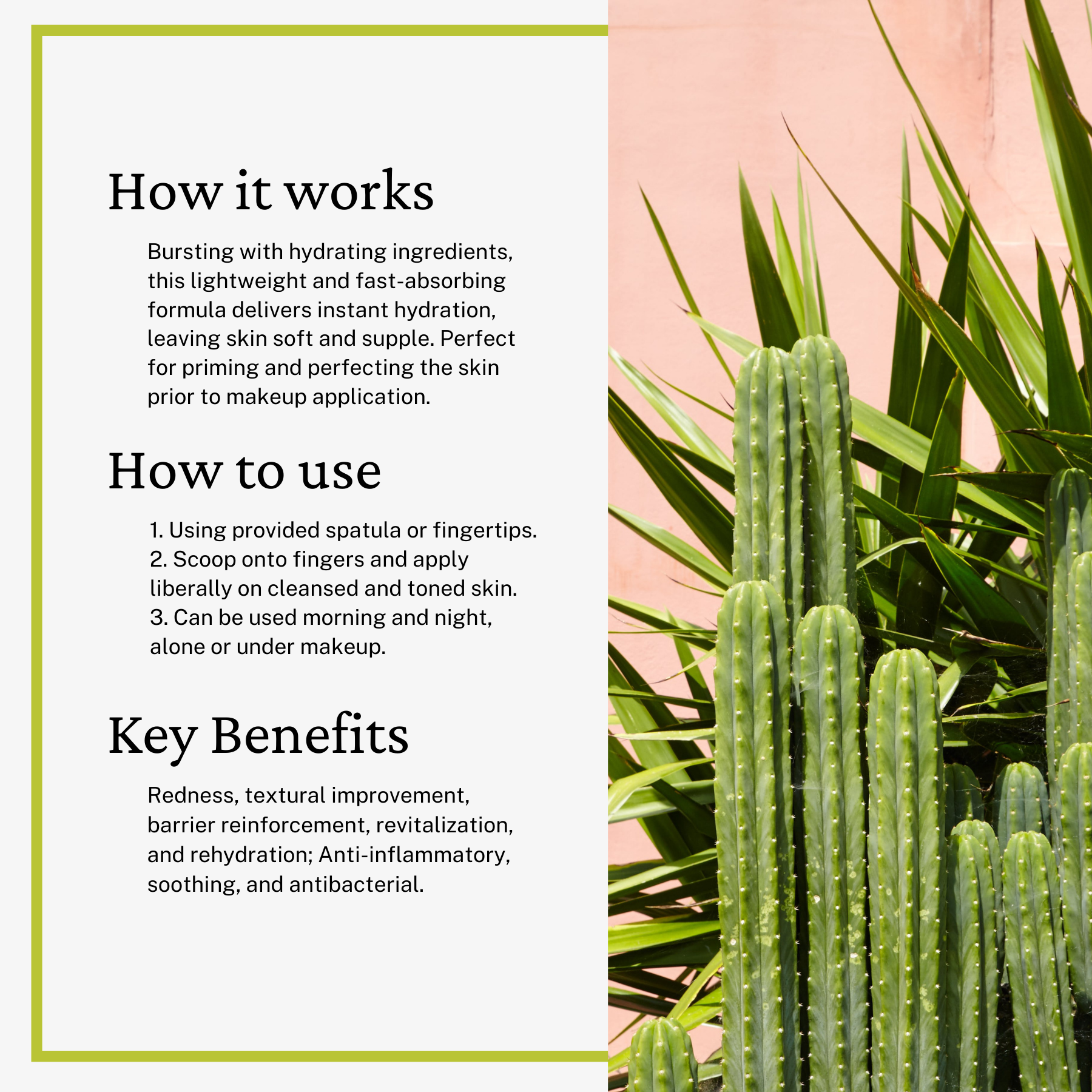 san pedro cactus benefits Cactus Water Moisturizer – KBL Cosmetics