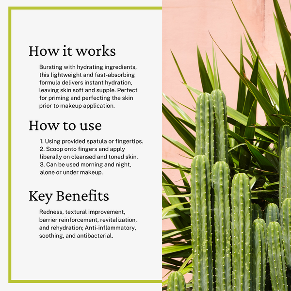 Cactus Water Moisturizer